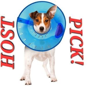 HOST PICK! Calm Paws Calming E-Collar